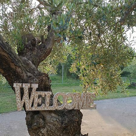 The Secret Olive House Villa Nea Michaniona Ngoại thất bức ảnh
