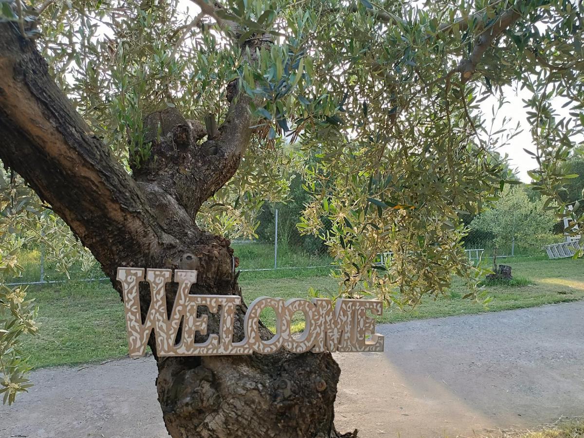 The Secret Olive House Villa Nea Michaniona Ngoại thất bức ảnh